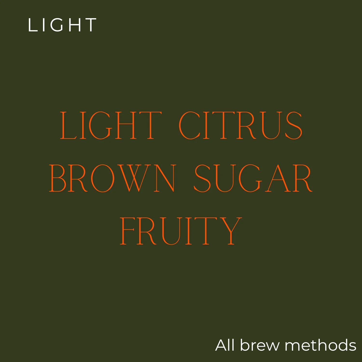 Fire Bean - EMBER - Bright & Luminous Coffee Beans - Image 2