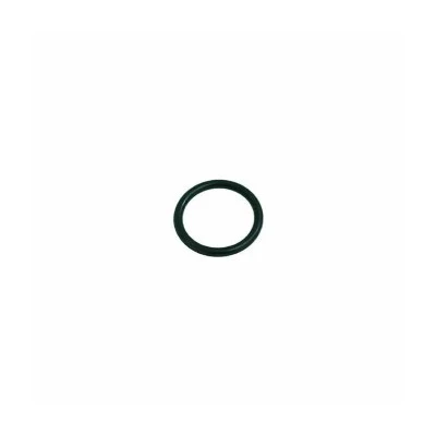 O-Ring 0160-20 EPDM