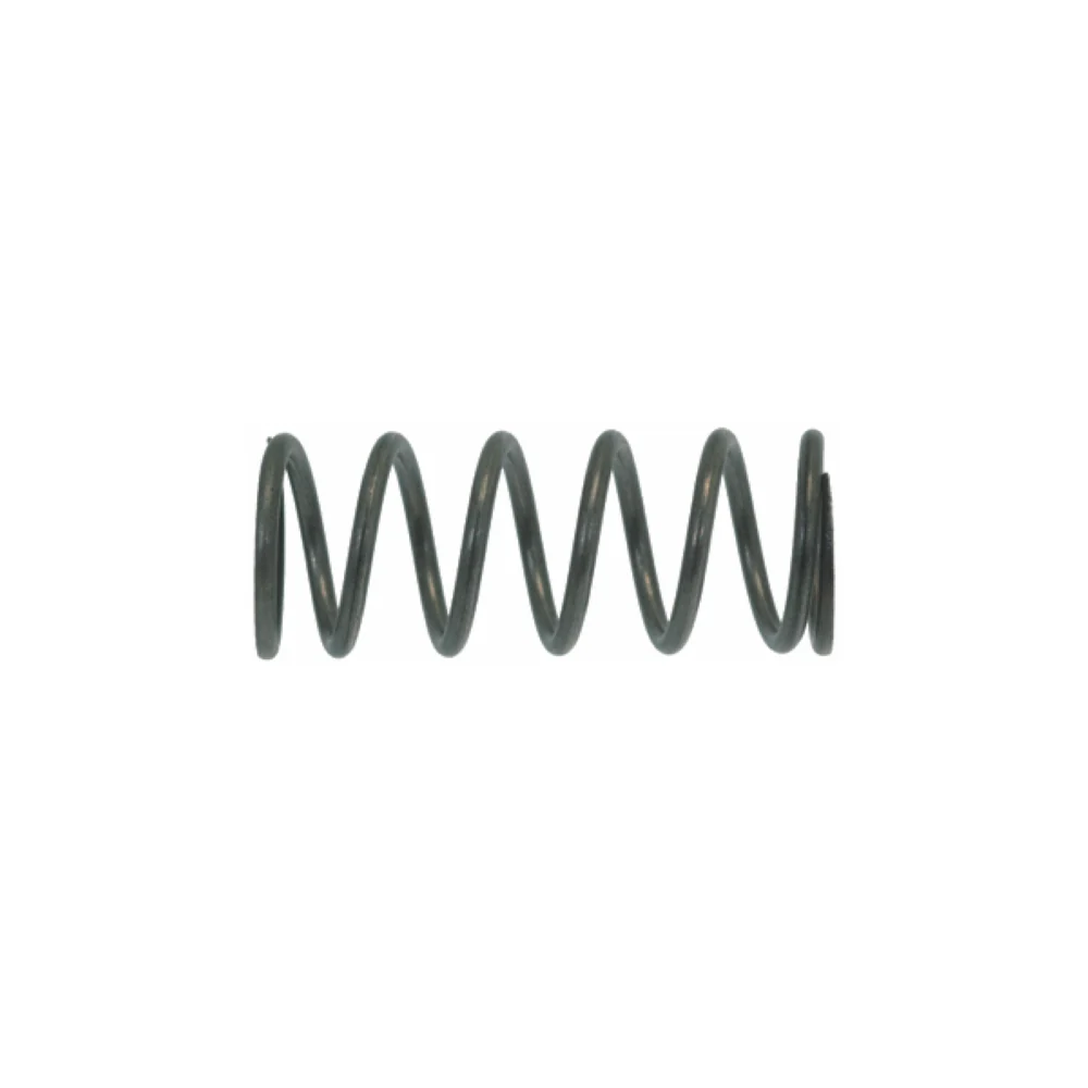 Steam/Water Valve Spring